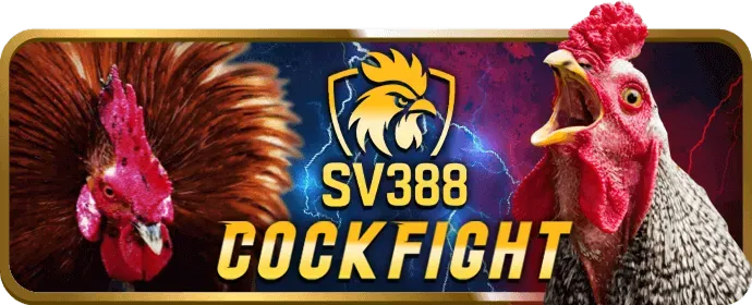 Hình ảnh minh họa cá cược có trách nhiệm tại vi68 win